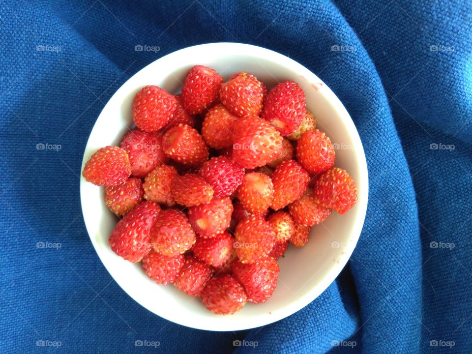 wild strawberries on a plate blue  background