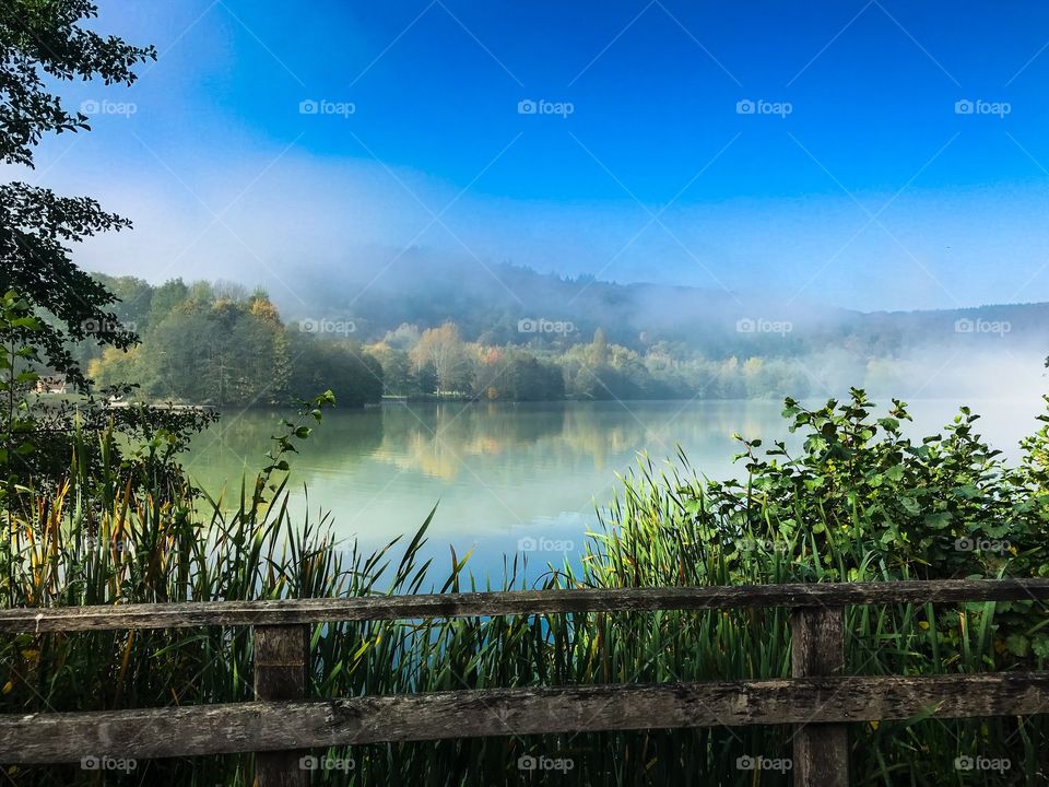 Summer lake in the park 