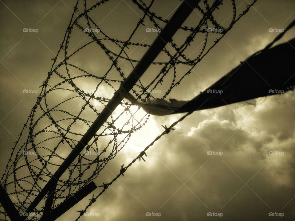 throw your heart over the fence and the rest will follow...