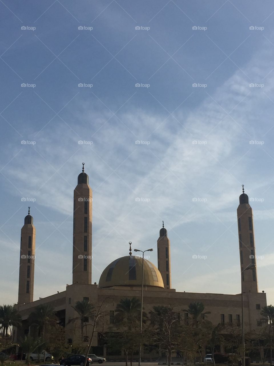 Hasan Elsharbatly 🕌