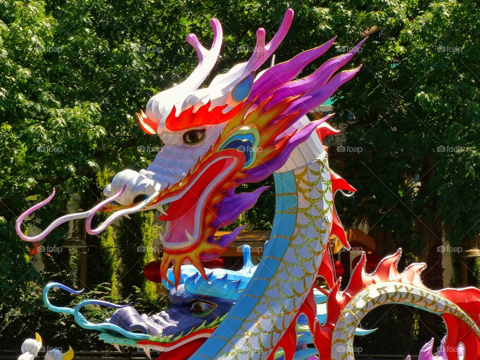 Colorful Chinese Dragon
