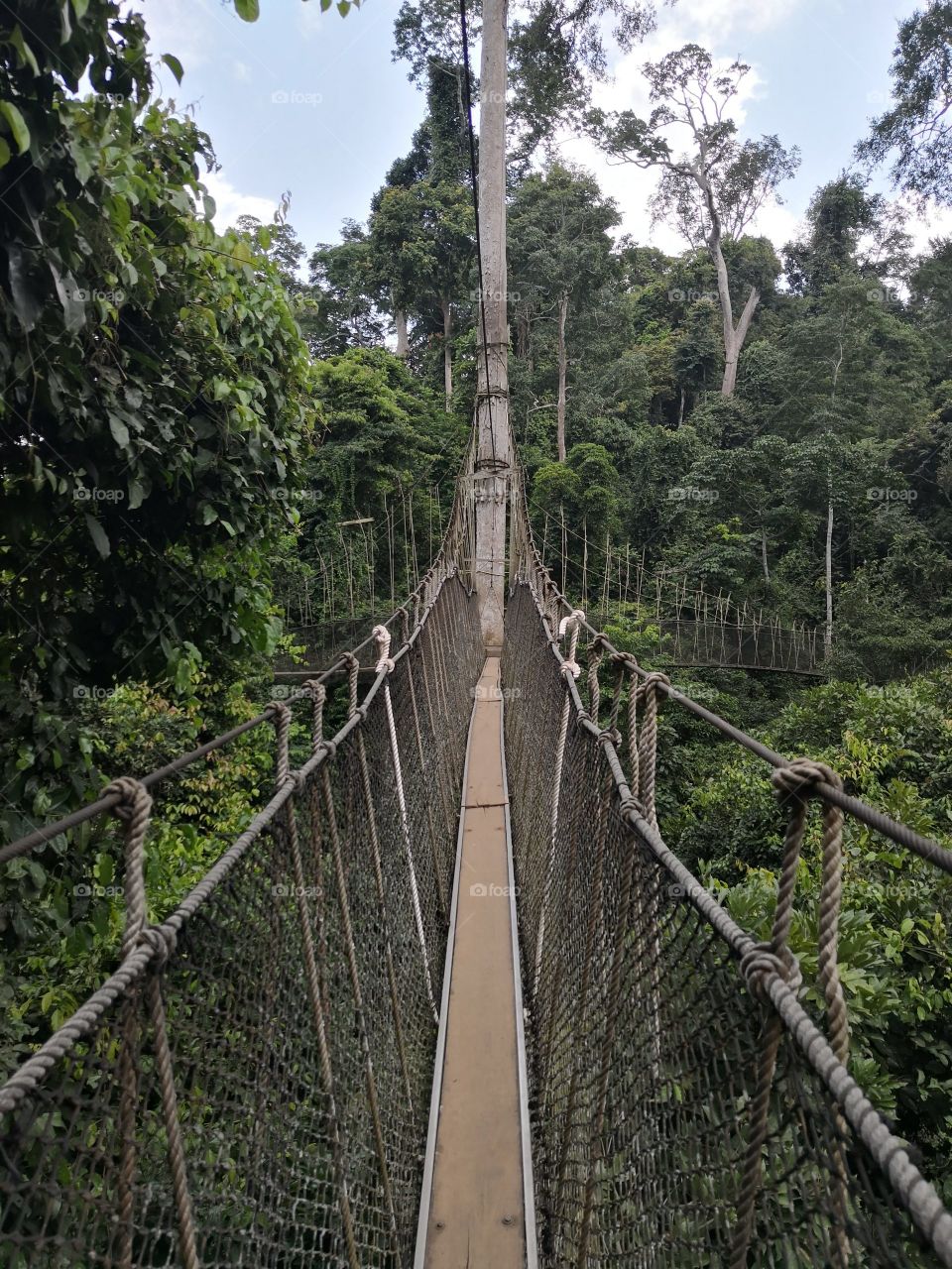 Kakum National Rain Forest, Ghana