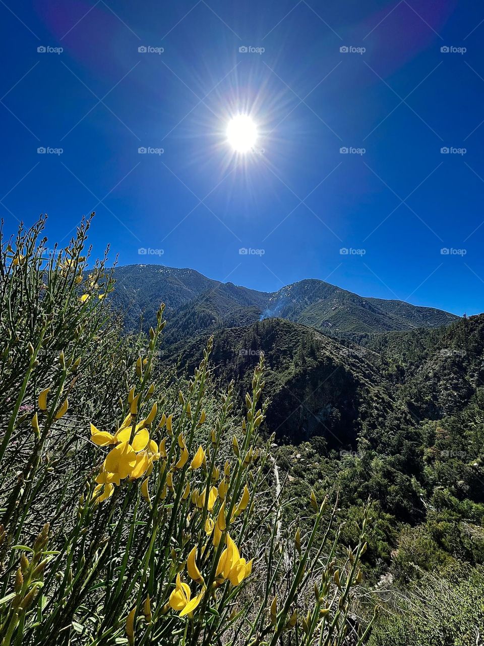 Mountain Vacation Scenery 