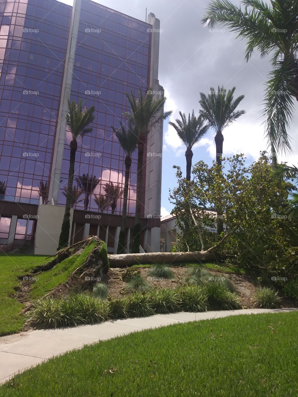 Hurricane Irma damage Lakeland Florida downtown