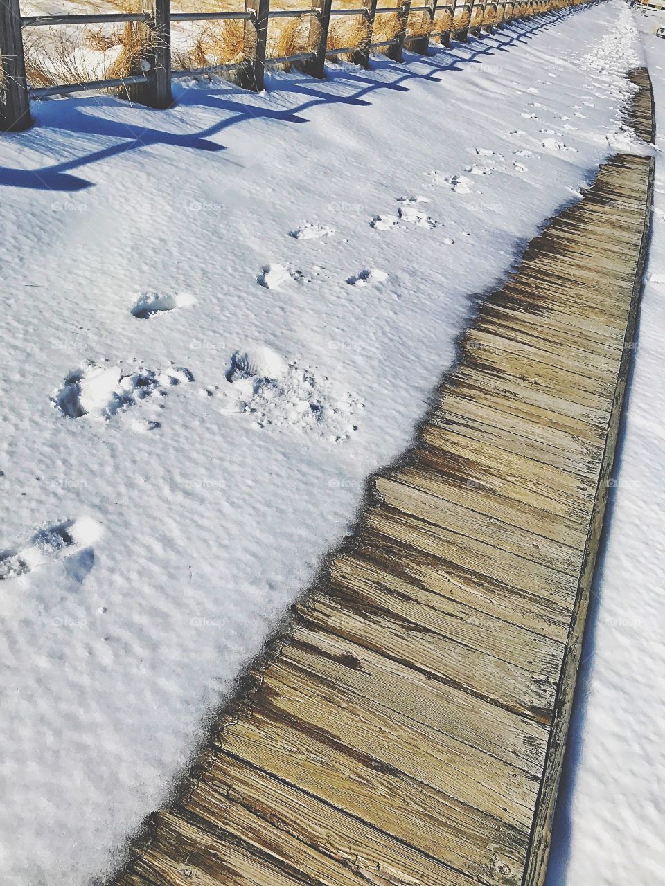 Footprint in snow