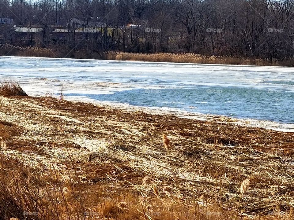frozen inlet,  Kings Park NY
