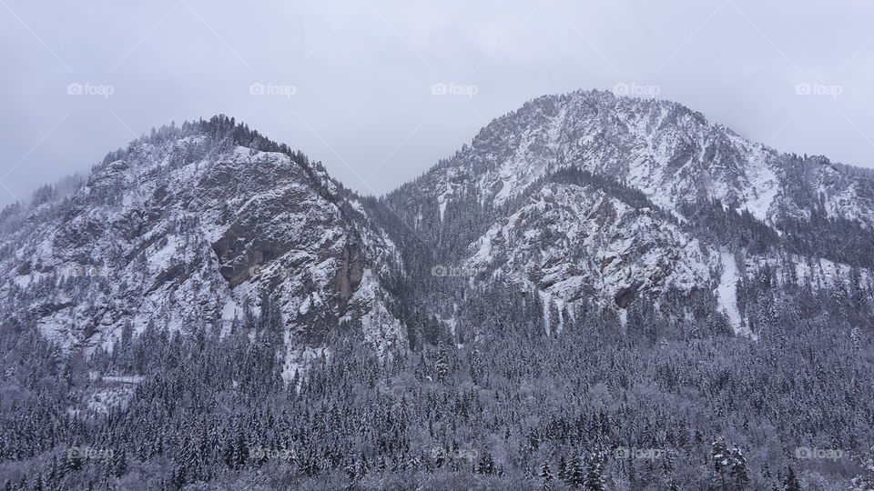 Mountain, Landscape, Snow, Nature, Tree