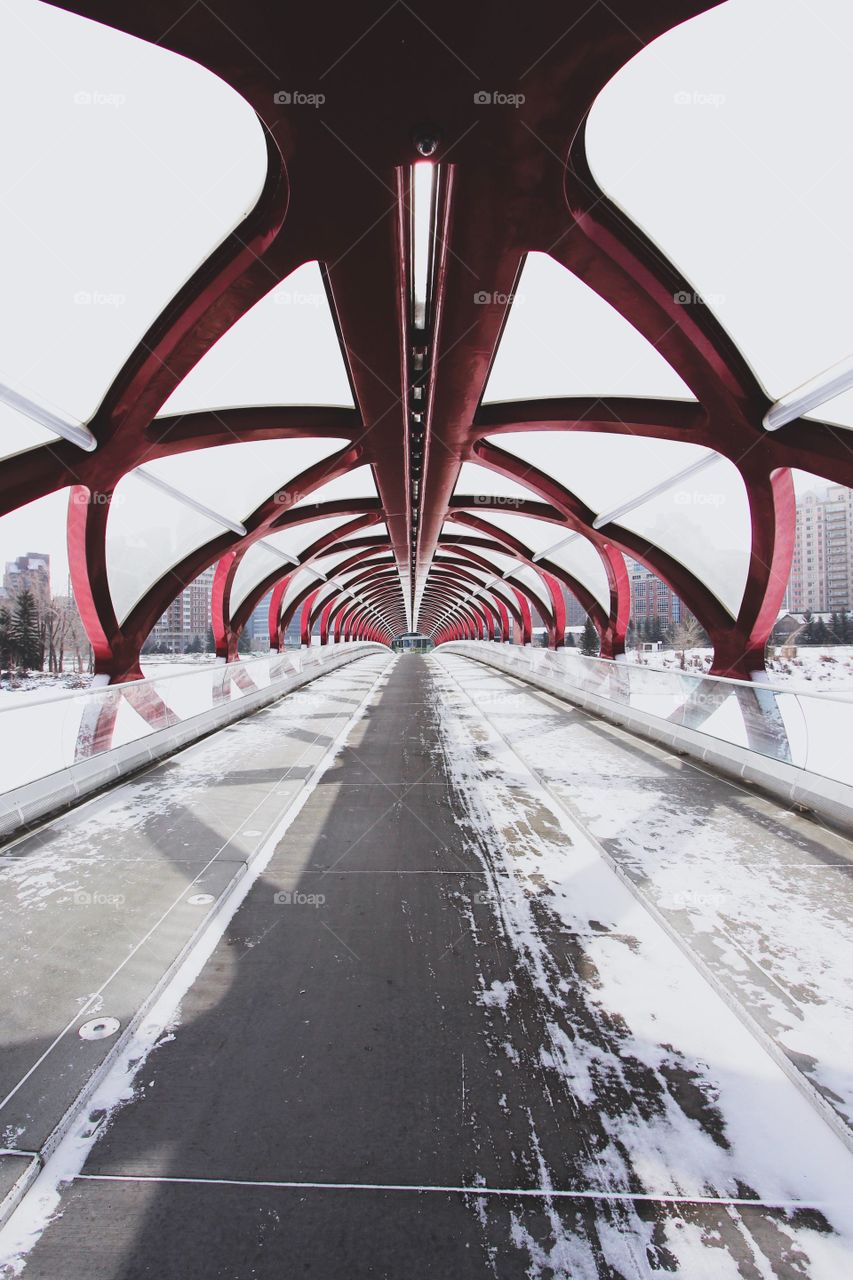 Peace Bridge, Calgary, Canada