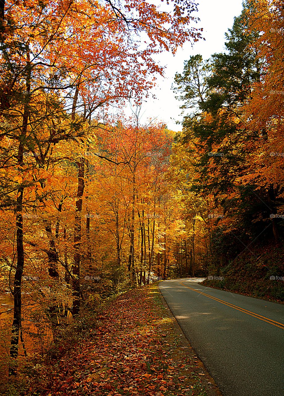 Riding through natures beauty