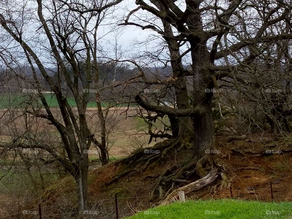 Driving the back Roads and enjoying everything around us