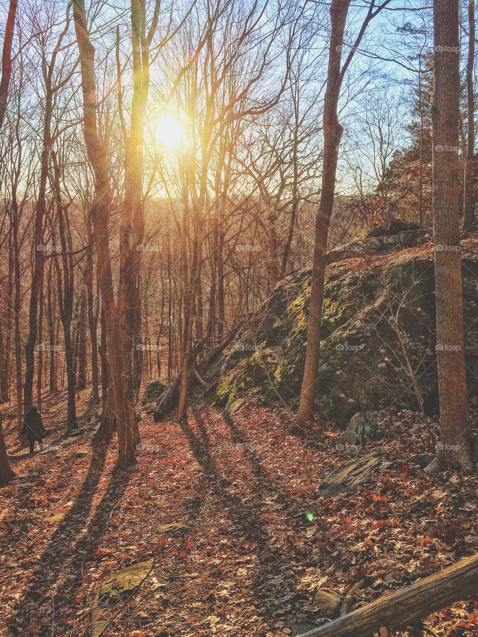 Sunset atop Lake Mohegan 