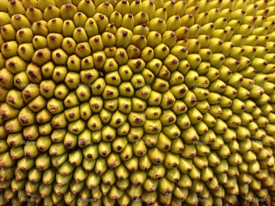 Jackfruit exotic rough skin