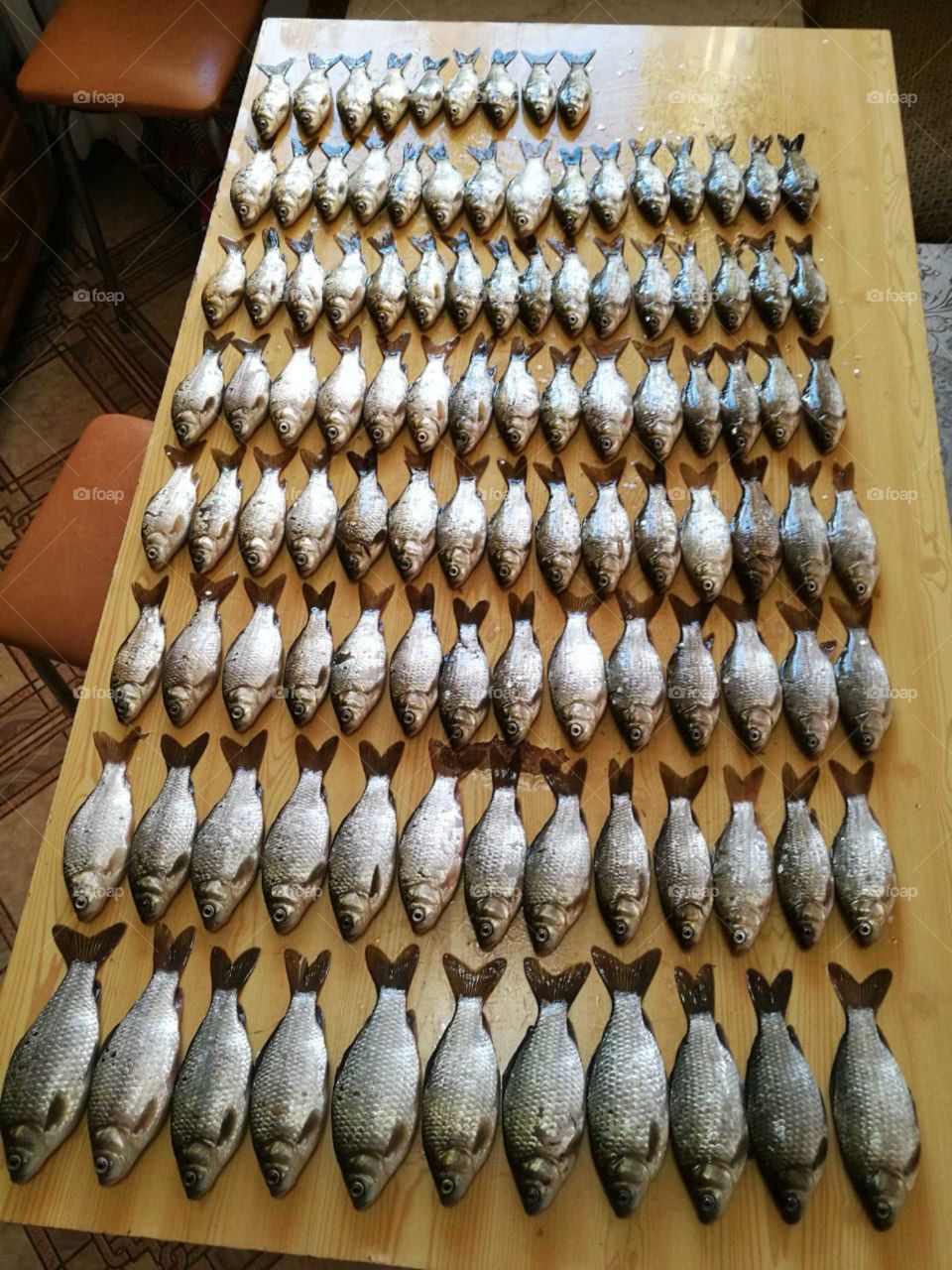 Очередной улов рыбака