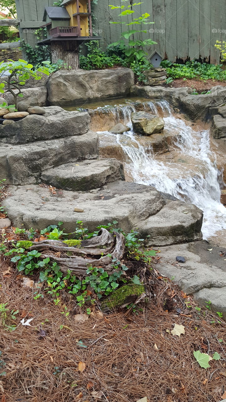 Stone, No Person, Nature, Leaf, Landscape