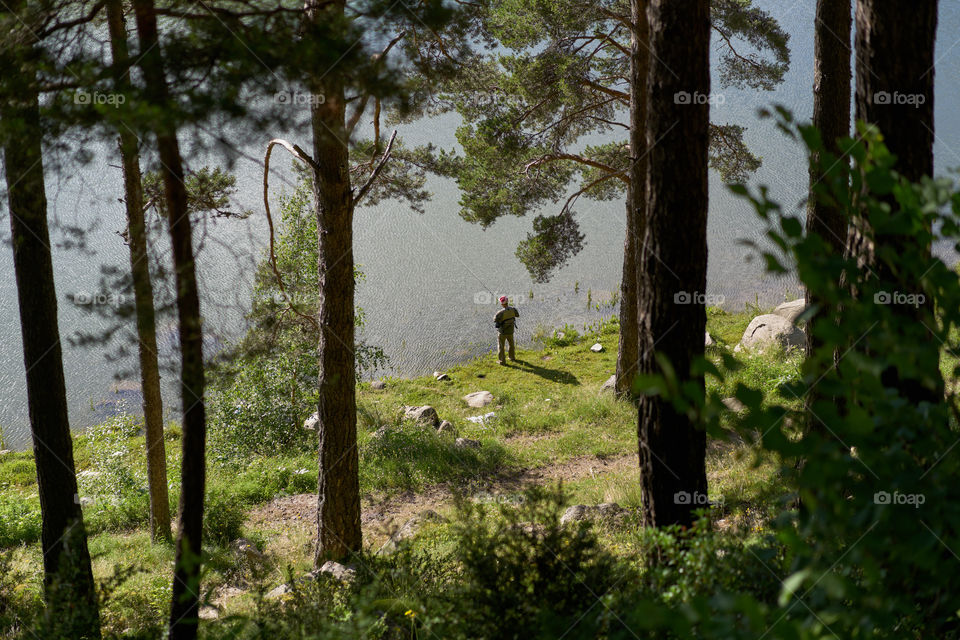 Lake view from the forest