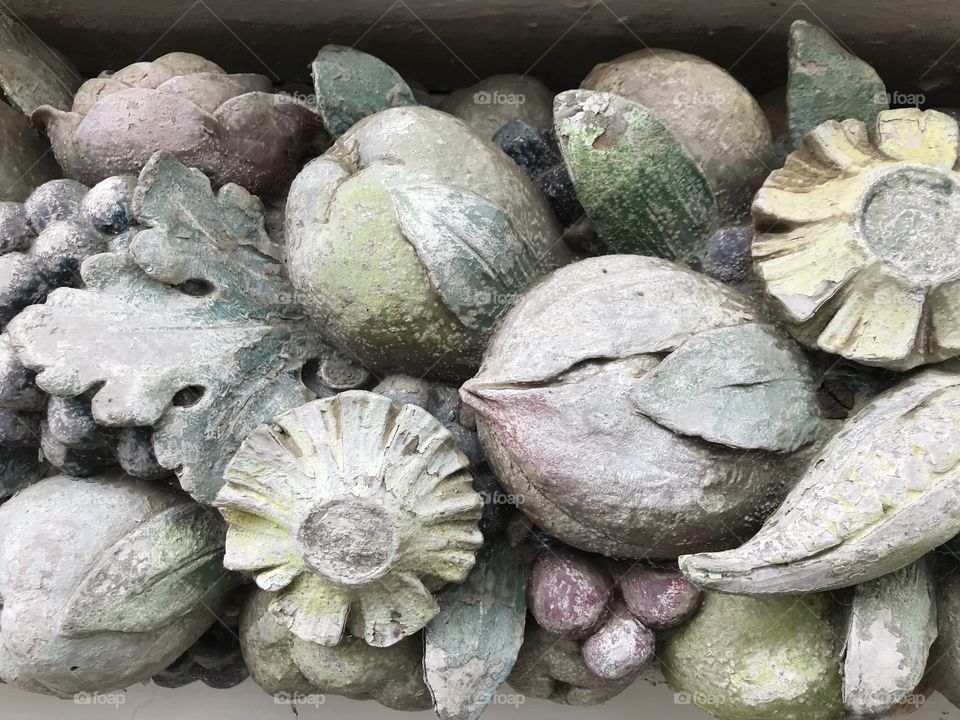 A selection of seashells from the shores of the very lovely Clovelly.