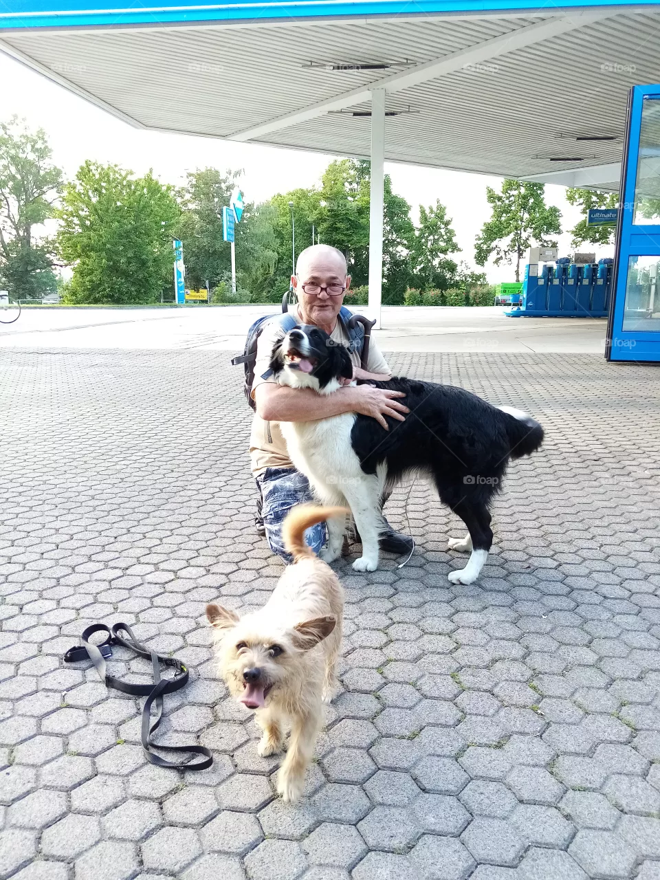 Neue Freunde