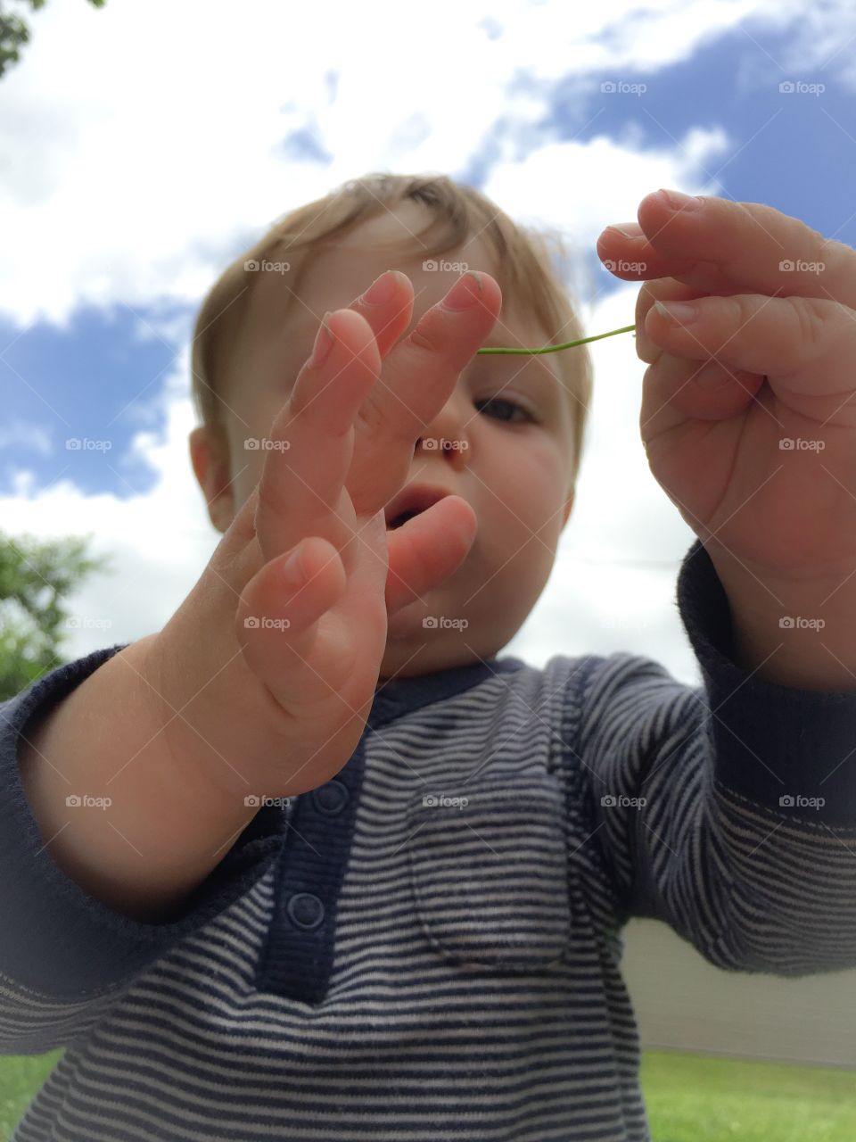 Small boy holding twig