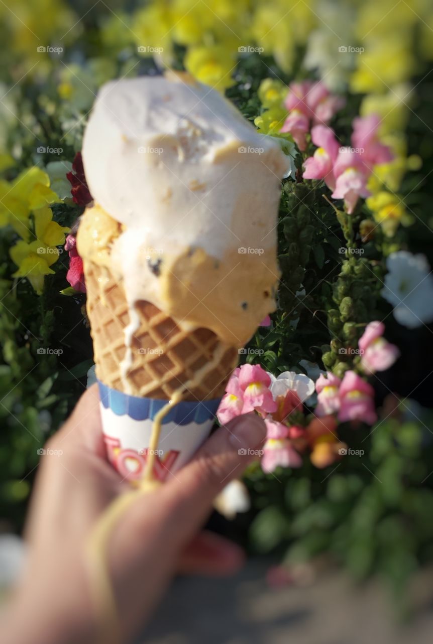 Hands Holding Ice Cream 