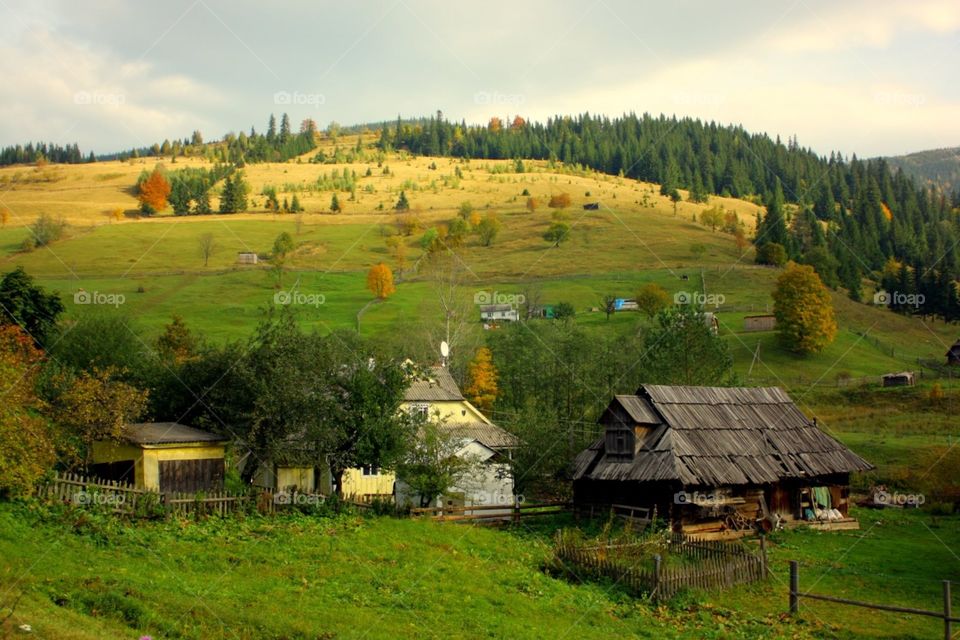 House, Wood, Landscape, Nature, Grass