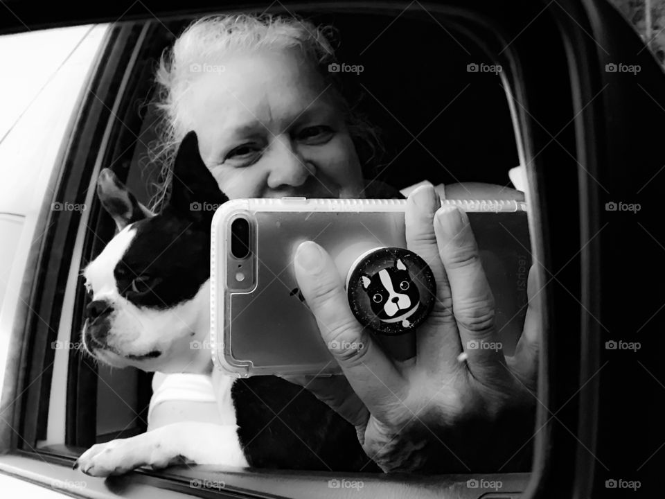 Selfie time! B&W photo of myself & one of my Bostons taking a picture of ourselves in the rear view mirror with my phone including a Boston Terrier popsocket!