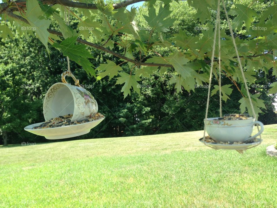 DIY tea cup bird feeders 