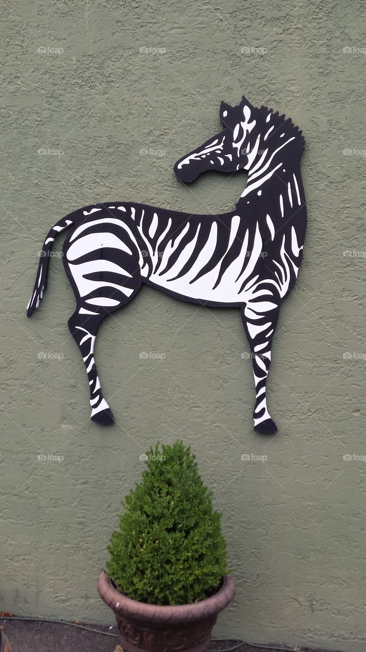Zebra Wall