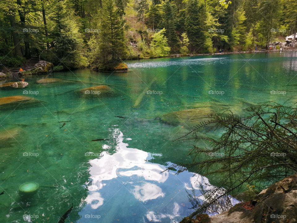 blausee