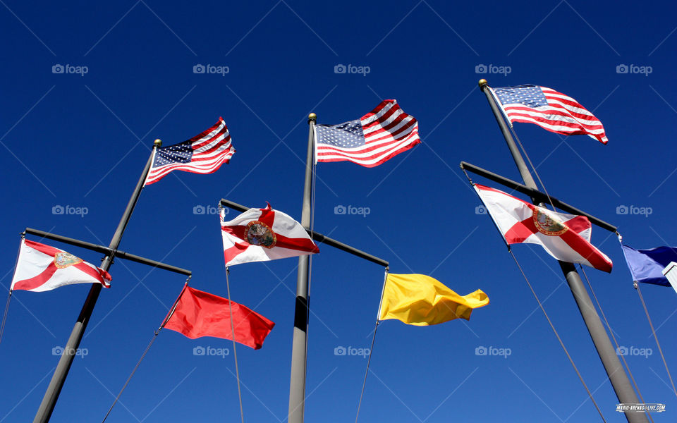Flags. Flags