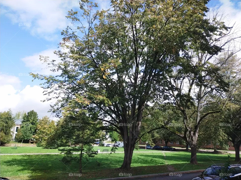 Nature in September