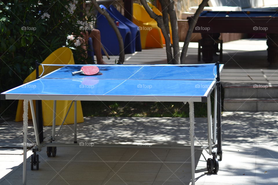 pingpong table