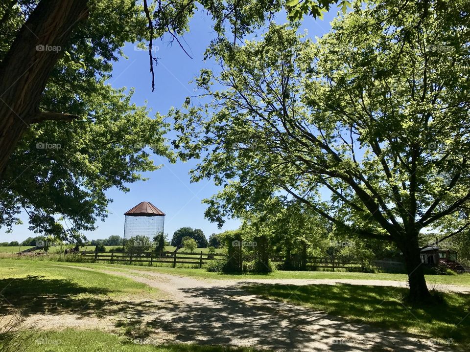 Iowa Farm