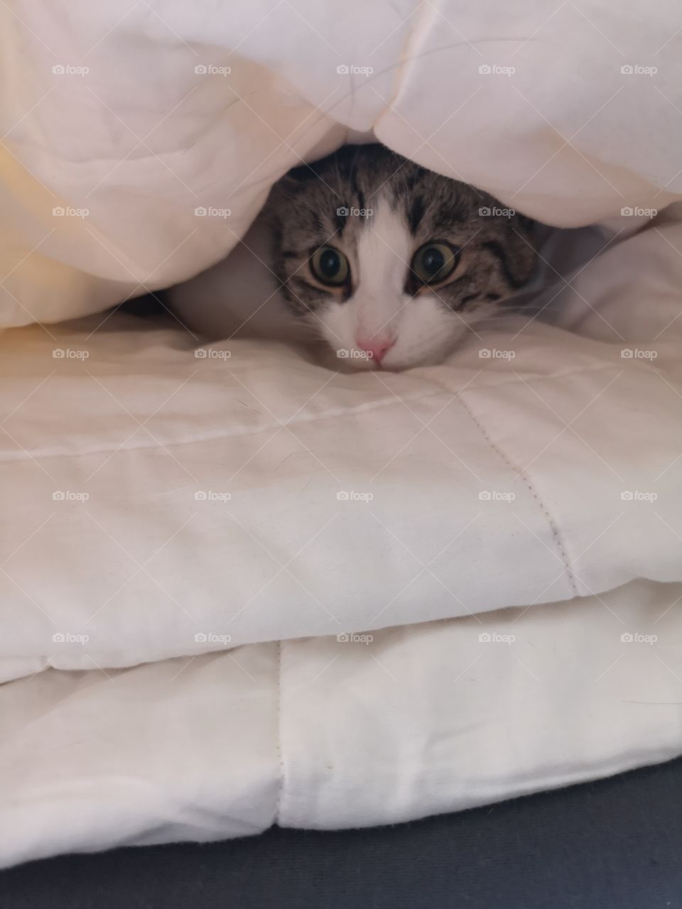 Playing under cover lol.