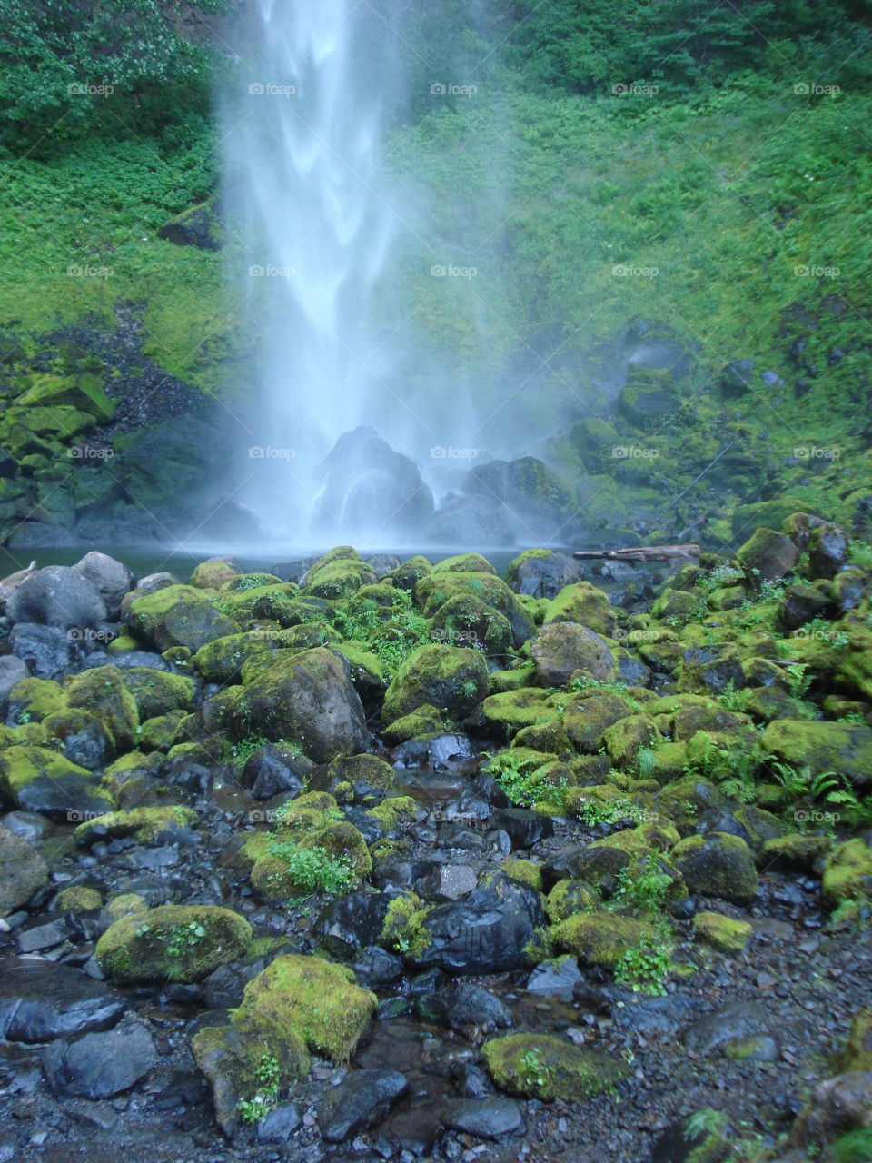  End of Elowah Falls. Down at the bottom of the waterfall at Elowah Falls in Oregon. So green!