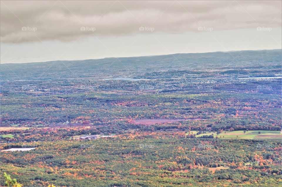 Fall Foliage From Above