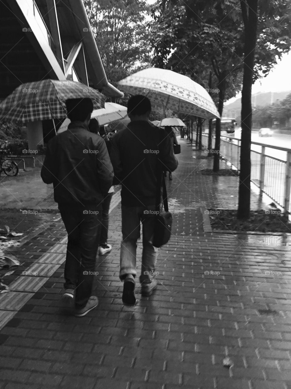 Commuters Walking with Umbrellas in the Rain - Shenzhen, China