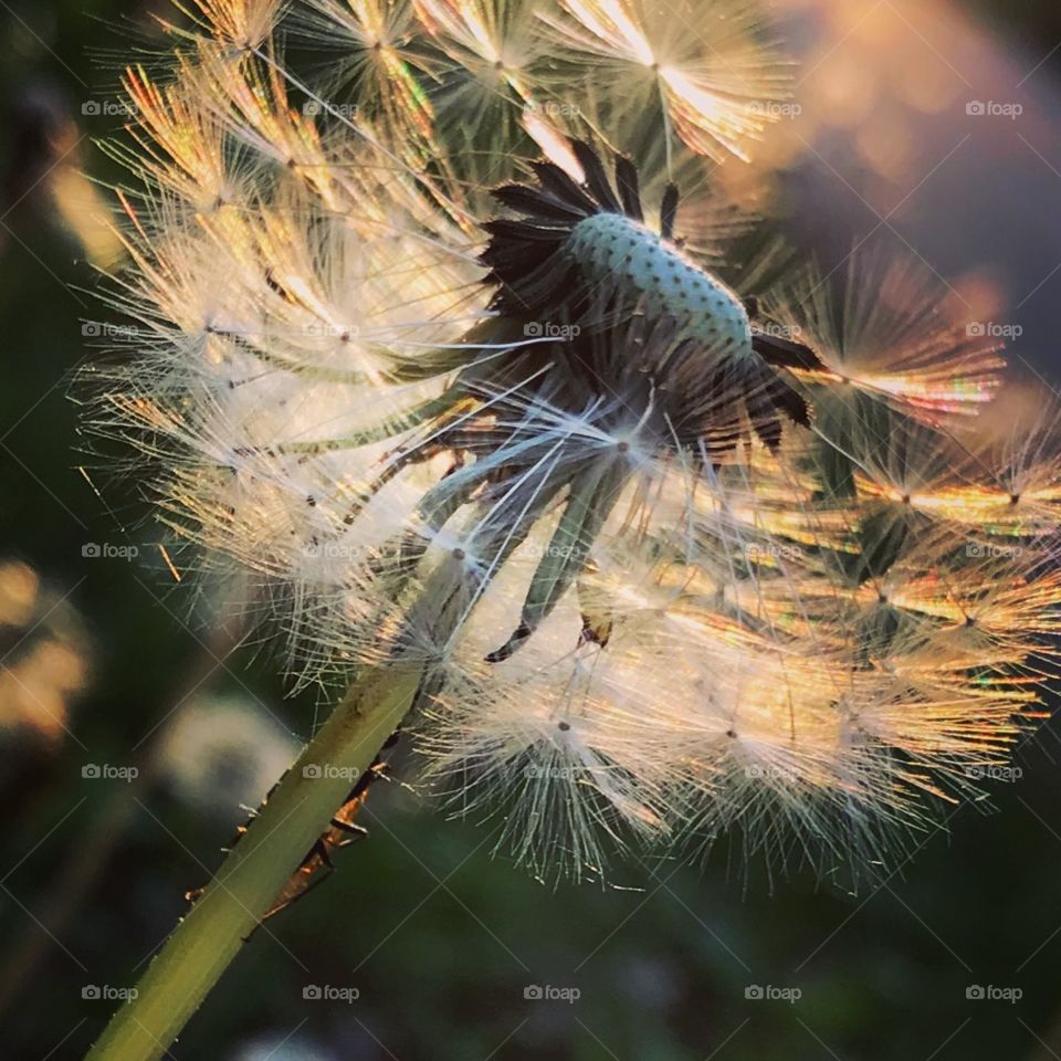 Hide and seek - can you find the bug?