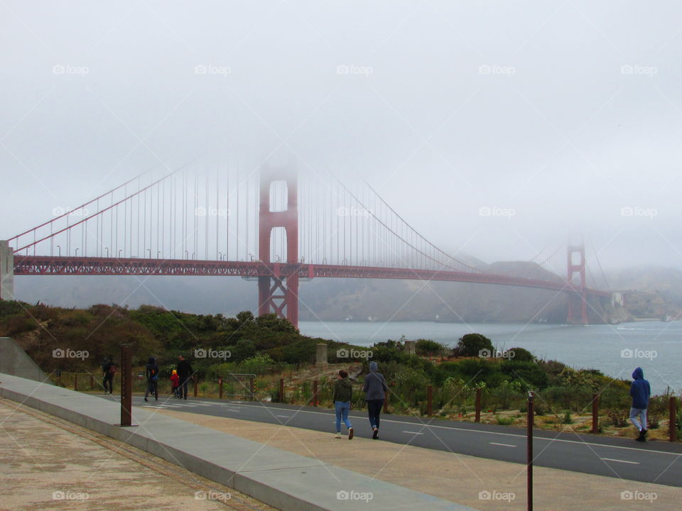 out for a walk on a foggy day in San Francisco California