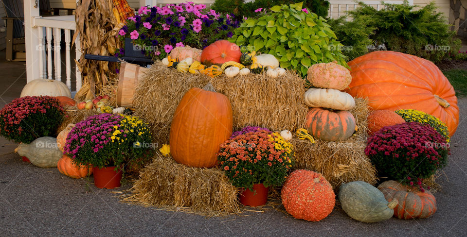 a bundle of fall