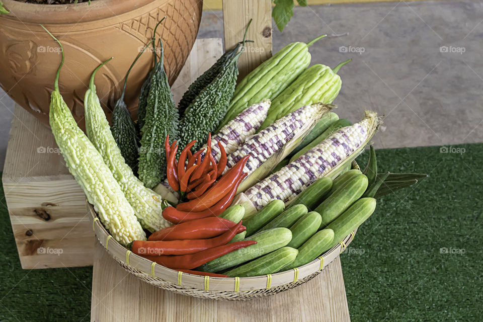 Vegetables in Thailand Cucumber , Corn , Bitter gourd and red chilli.