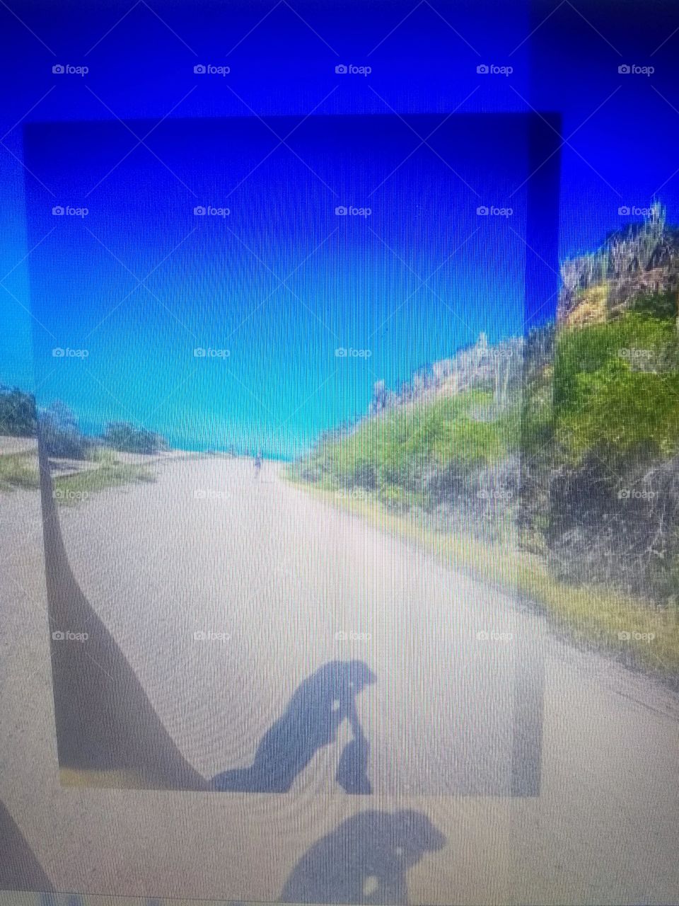 Carrera de bicicleta