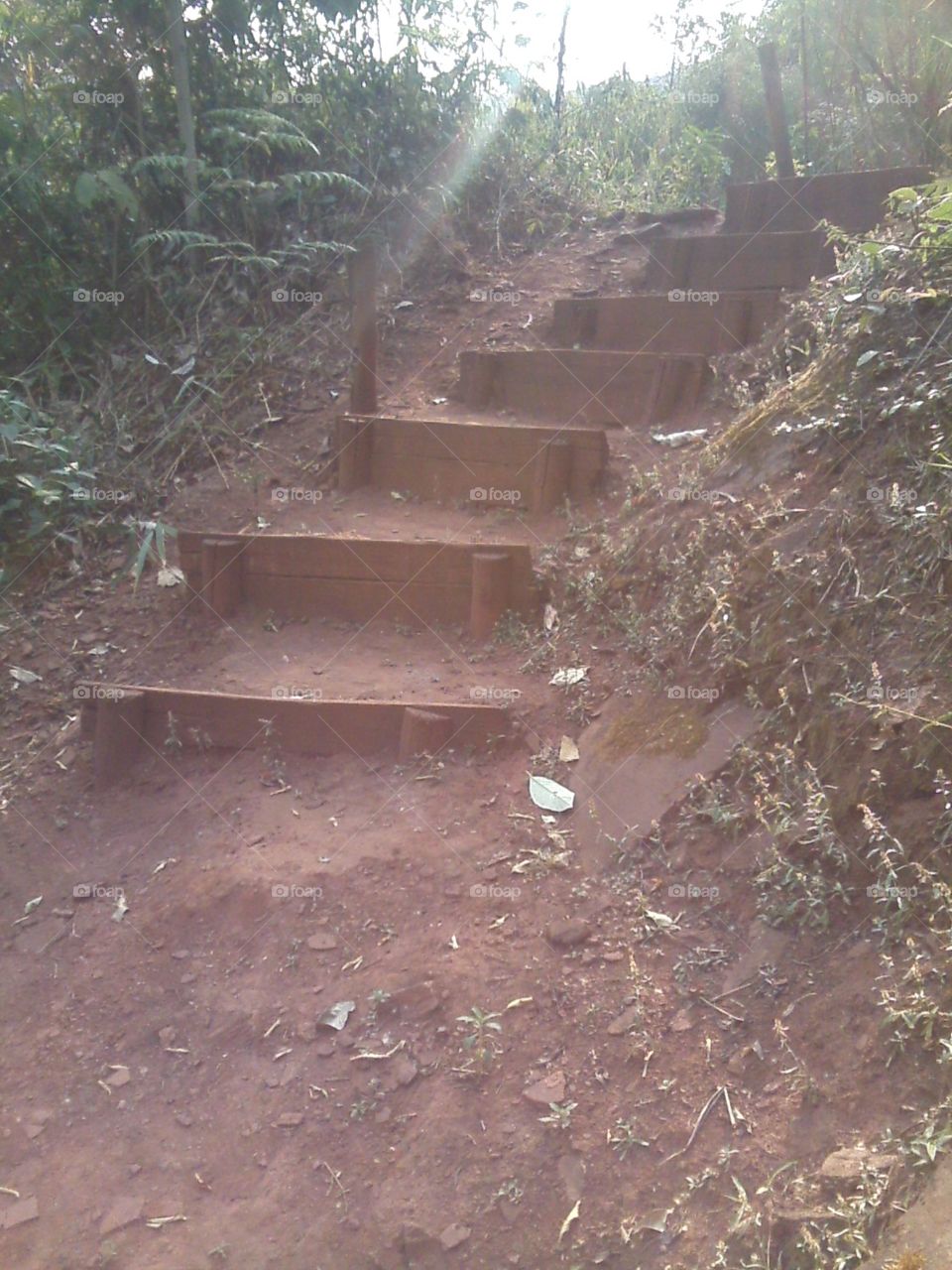 escada de tábua e terra em Sabará - mg