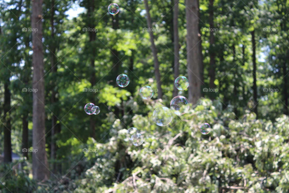 floating bubbles