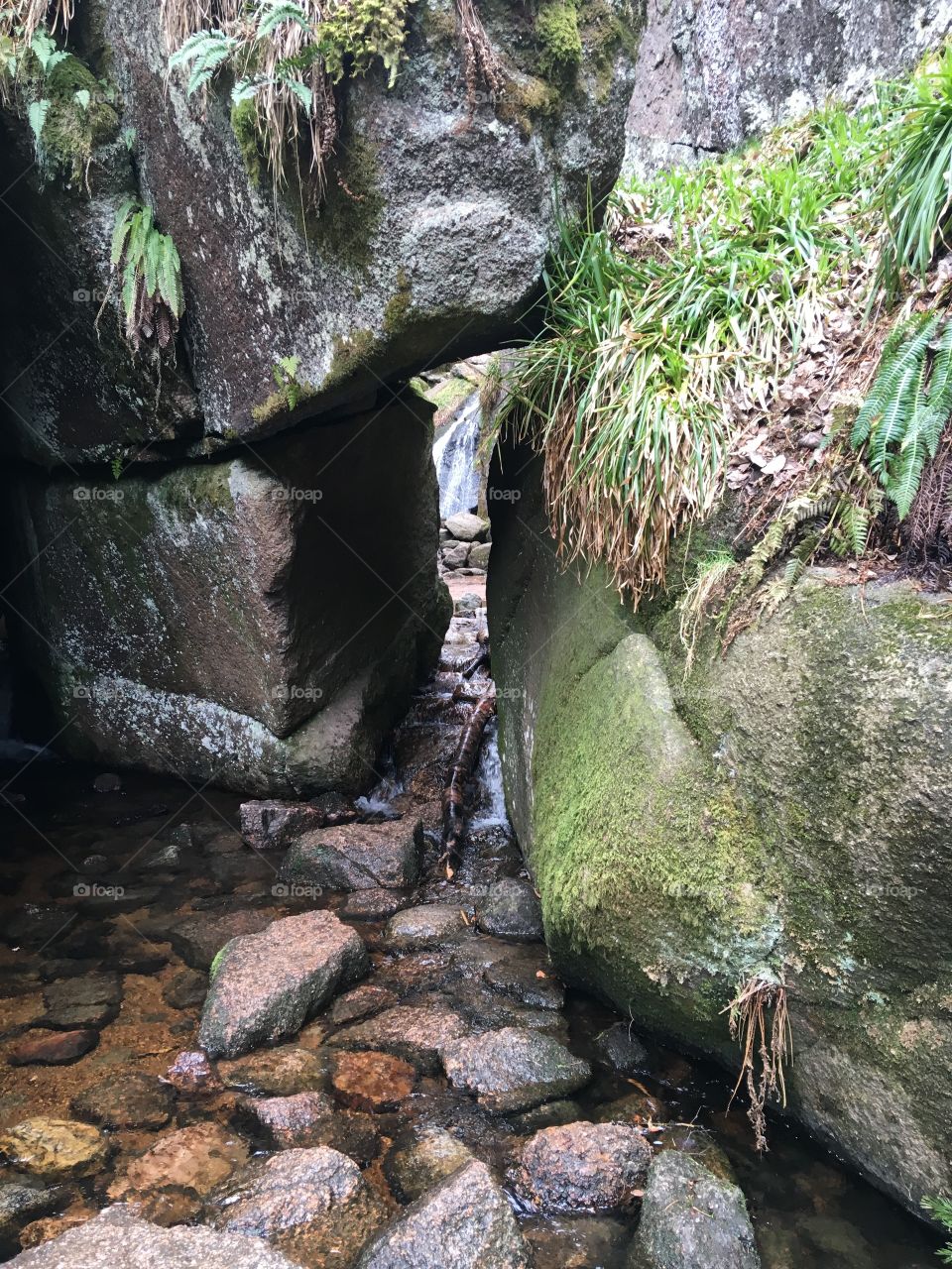 Burn o Vat Deeside Scotland