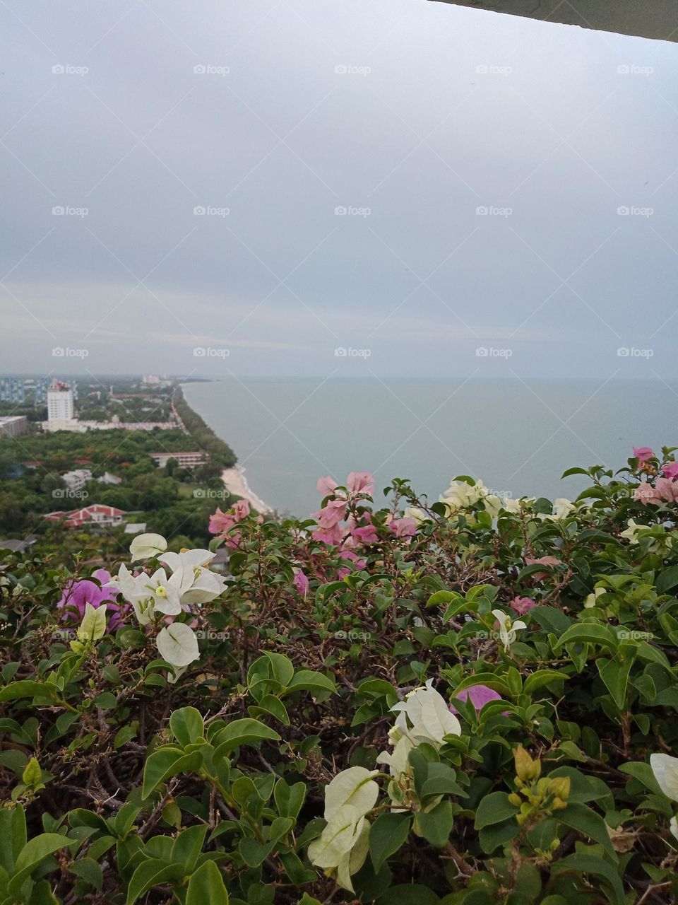 Rooftop view