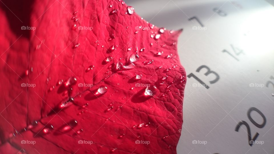 Red leaf on calendar