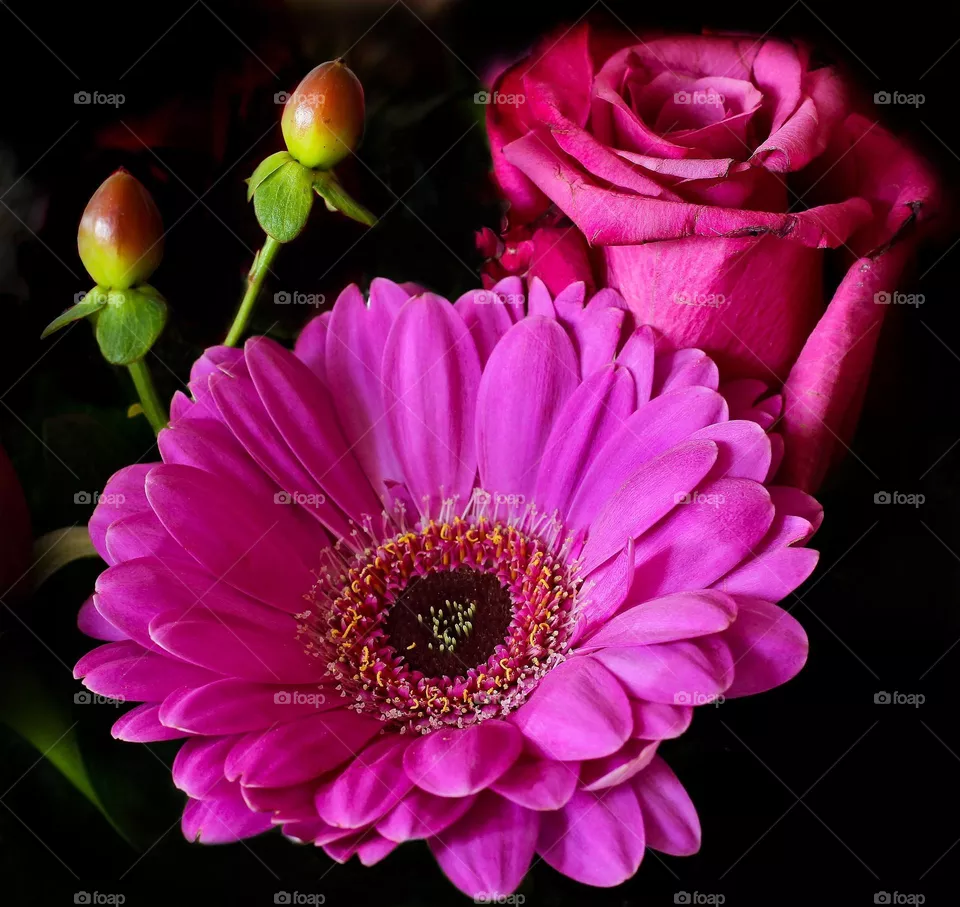 pink flowers