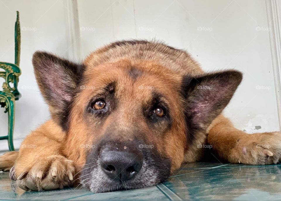 Borrow my face when you are bored