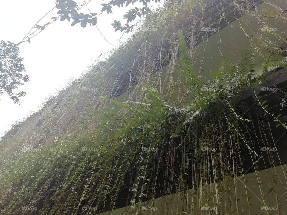 A beautiful hideout embraced by nature