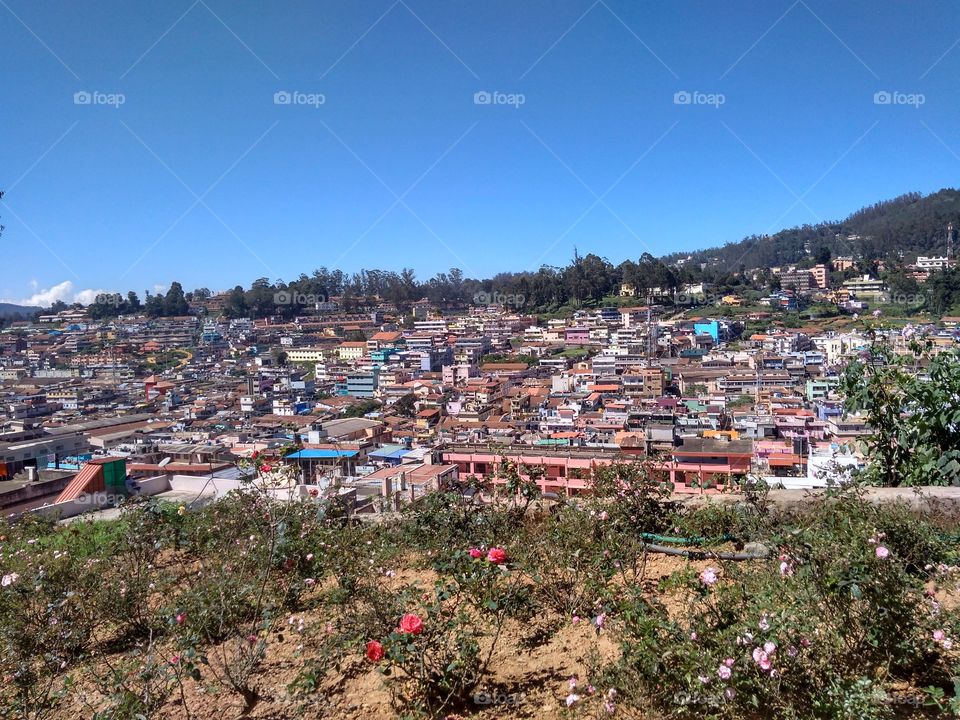 Ooty view